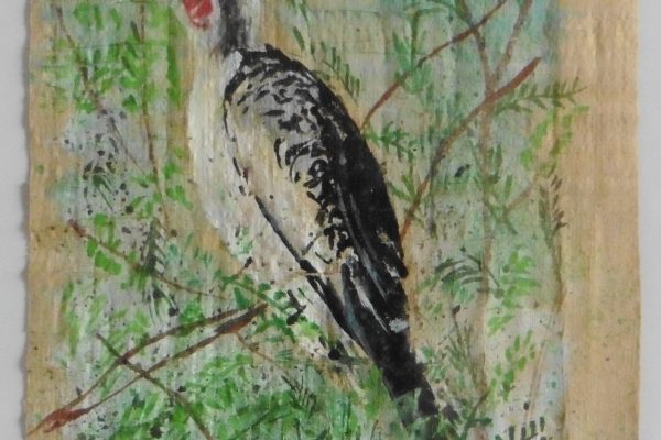 par Papis avril 2019